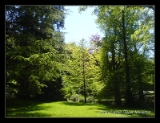 Le parc du chateau à Vitré-002